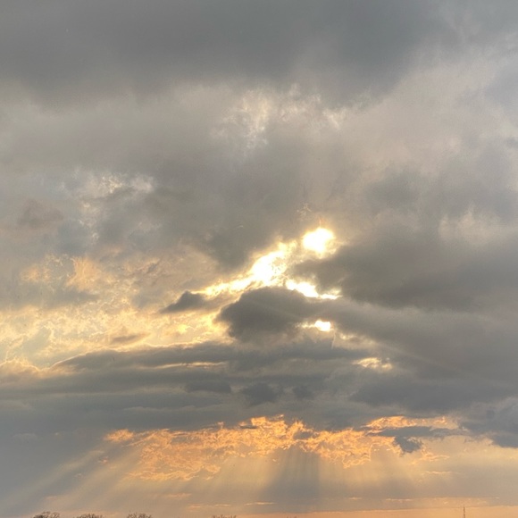 Meet your Posher, Sepideh - Picture 1 of 1